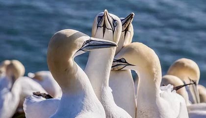 爱游戏官方-亚洲杯中国足球惨败 球迷呼吁提升青训质量，亚洲杯中国足球队赛程