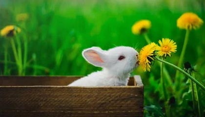 爱游戏在线登录入口-中小城市体育服务供给侧结构优化研究，体育产业供给侧结构性改革