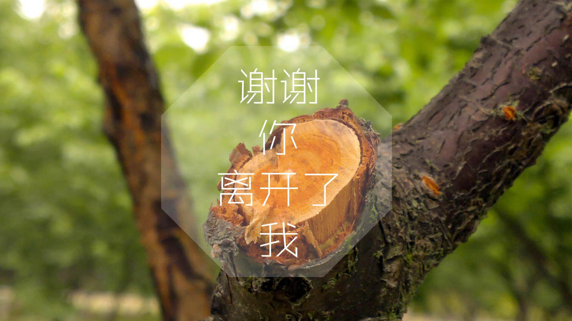 _无人机现场直播：高清无死角全景捕捉精彩瞬间_，航拍无人机直播