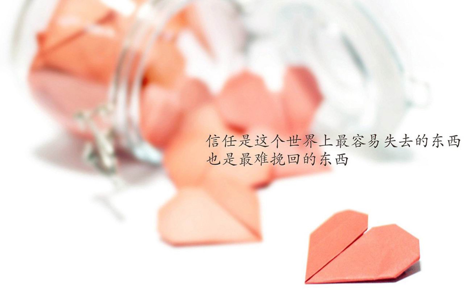 _绿野仙踪：森林中的野外网球挑战_，2021绿野仙踪棒球服