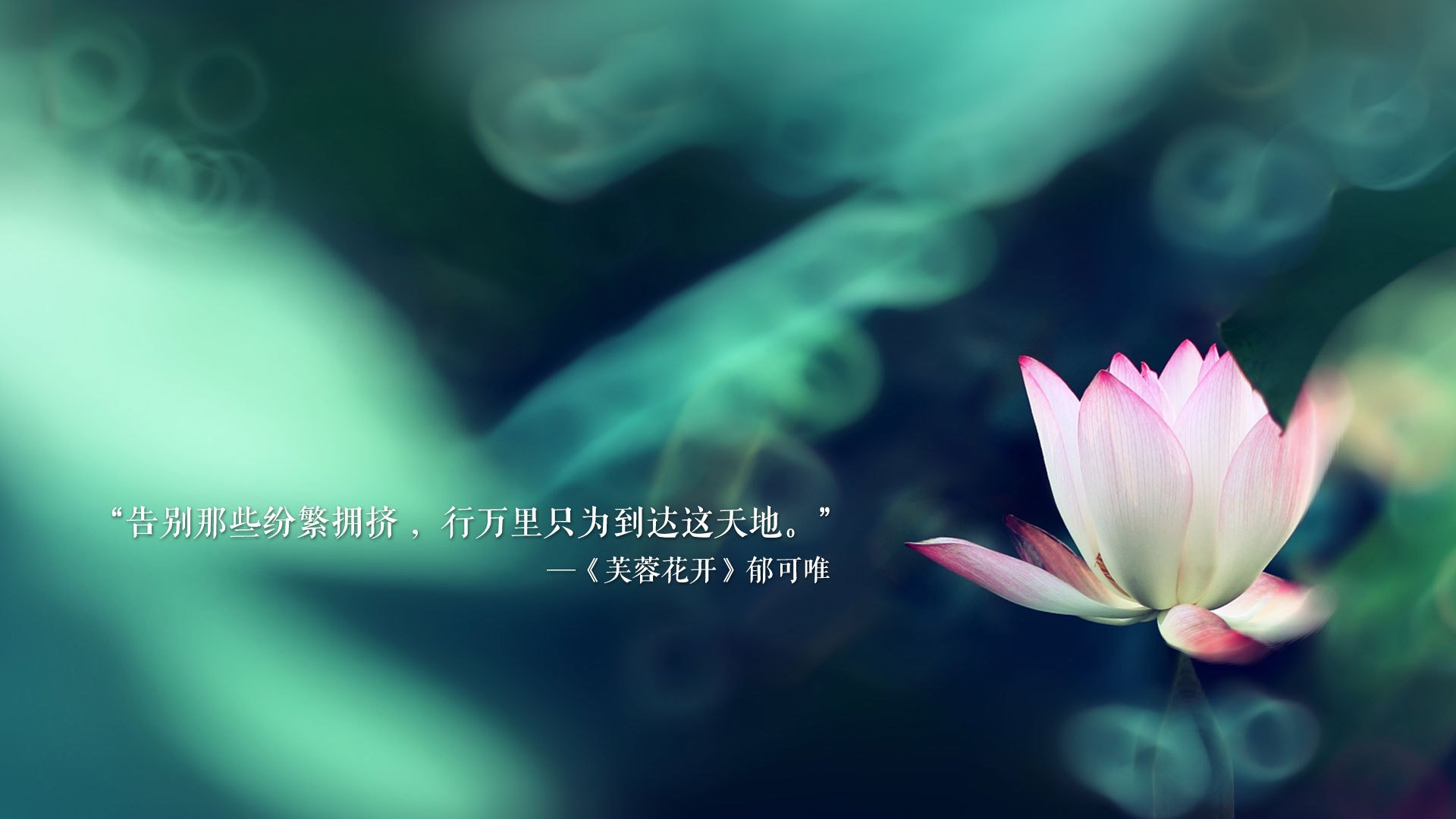 海底奇观潜水赛，探索海底沉寂的秘密宝藏，海底潜泳视频