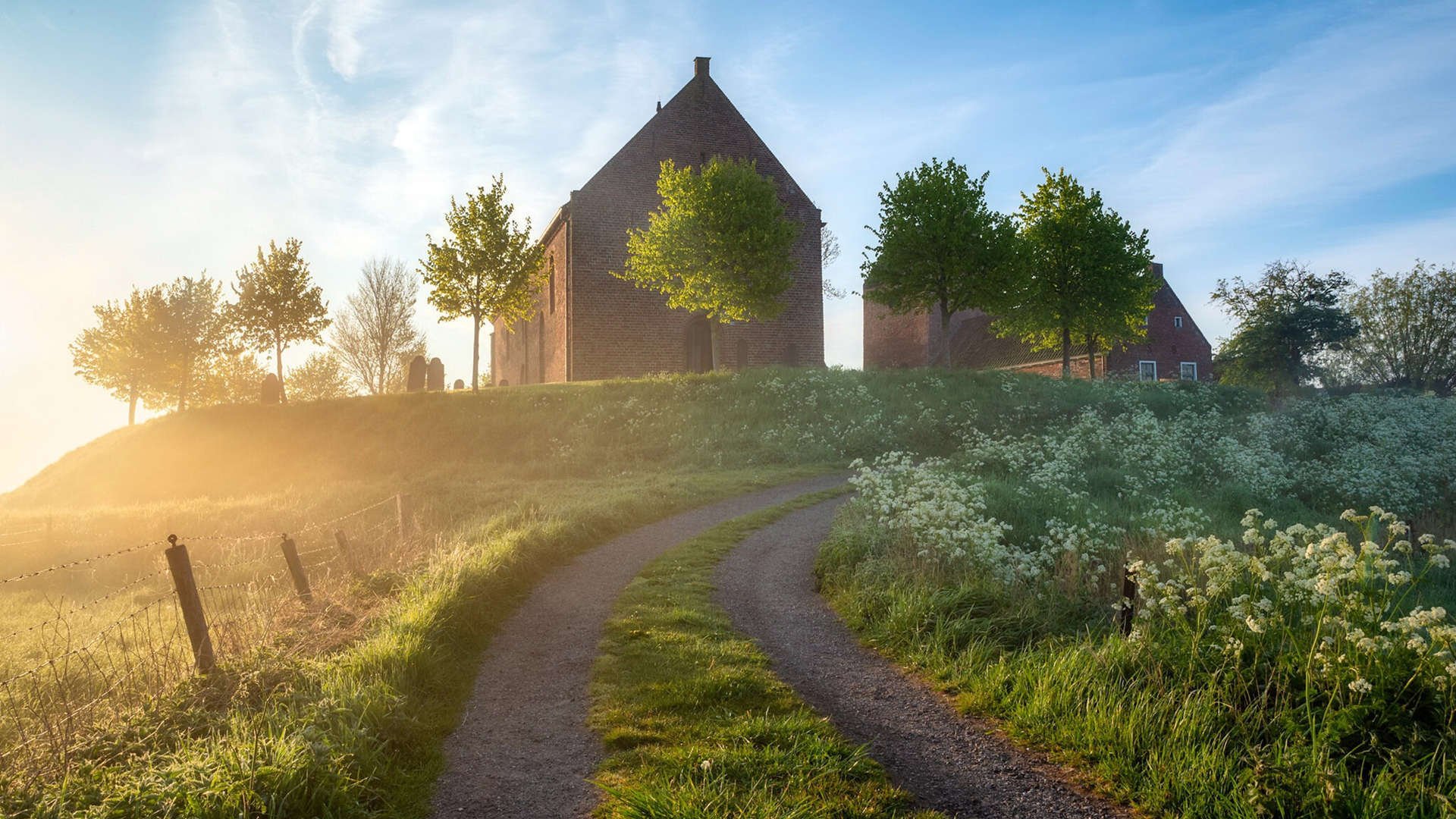 2024年埃及队表现：逐步缩小与顶级队伍的差距，埃及能进季后赛吗