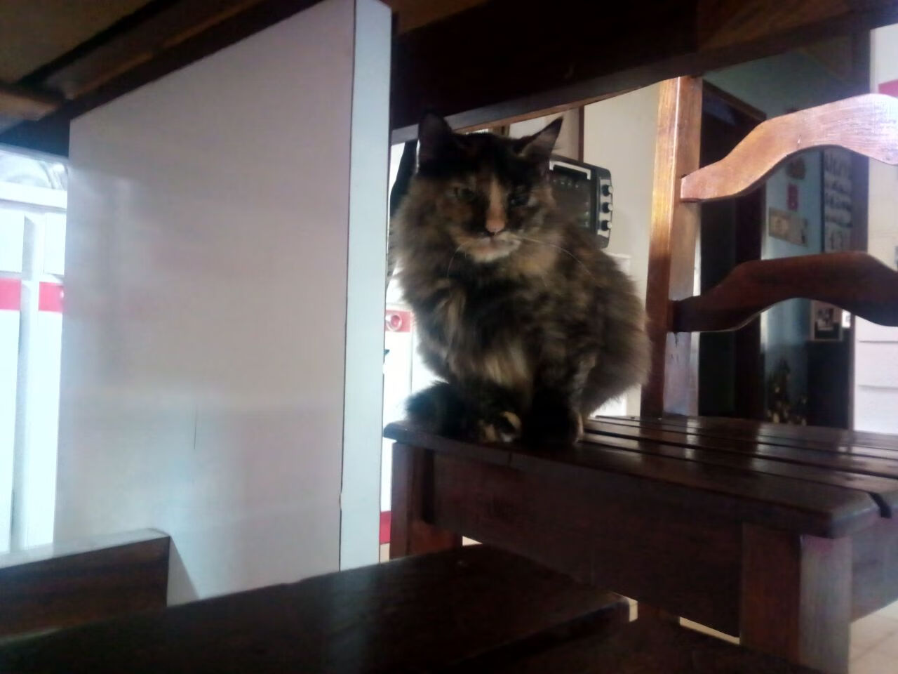 爱游戏在线登录入口-CBA球队多方合作 推动篮球运动普及，与cba合作的企业