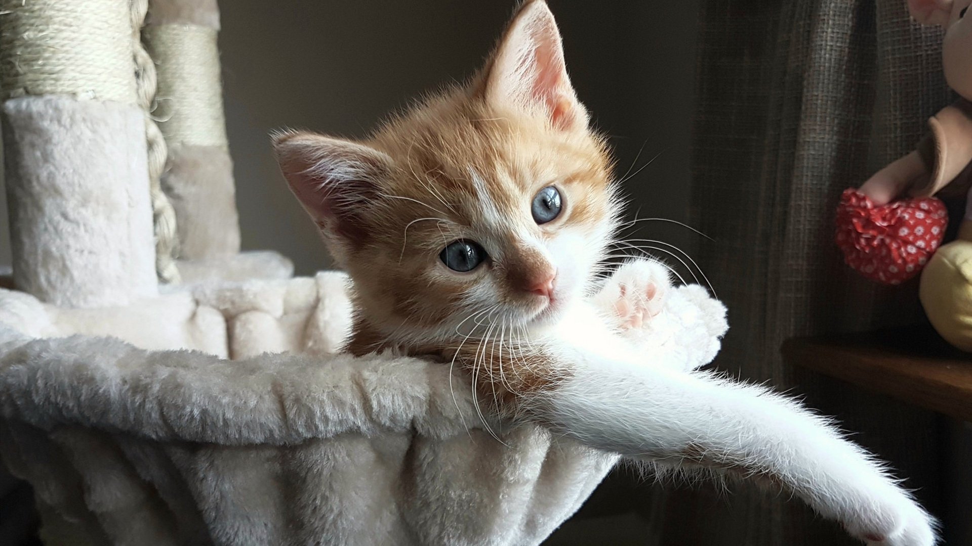 中国女篮持续优化快攻线路构建节奏优势，中国女篮真棒