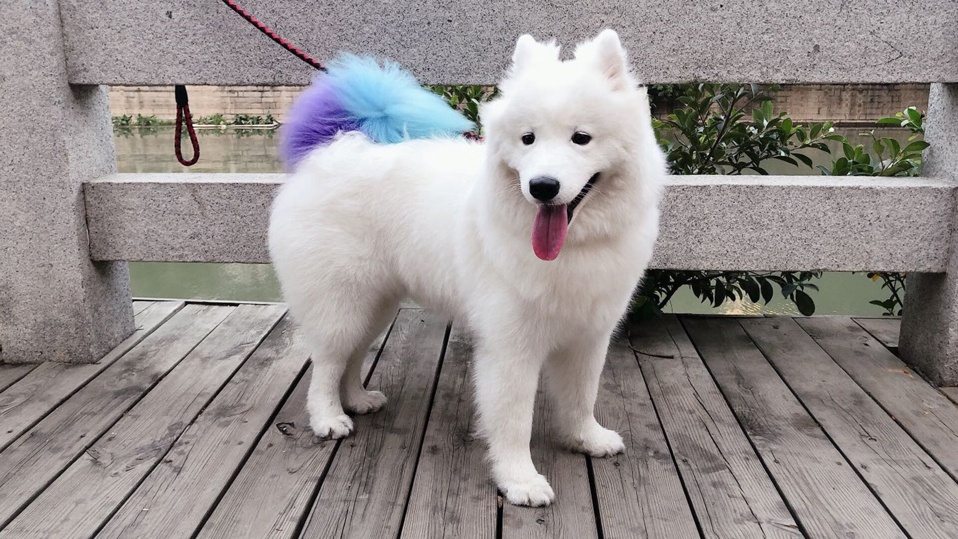 爱游戏在线登录入口-中国棒球联赛重启 吸引众多年轻观众，中国棒球联赛官网