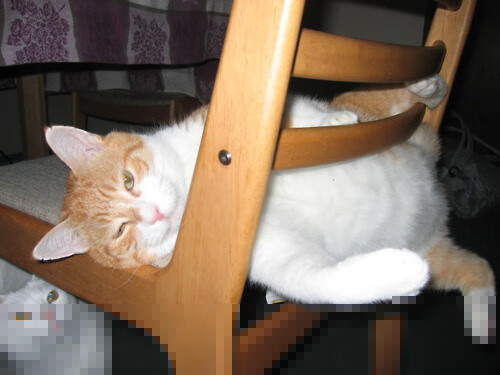 全国攀岩青少年联赛首次引入战术评分系统,2020年全国攀岩赛