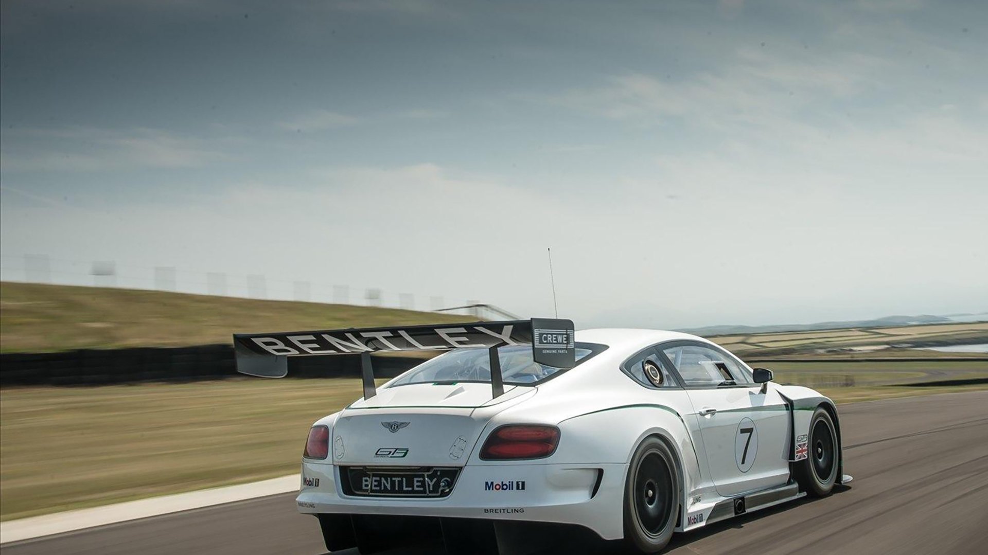 波兰队未来展望:加强国内青训资源,挖掘潜力球员,波兰队的