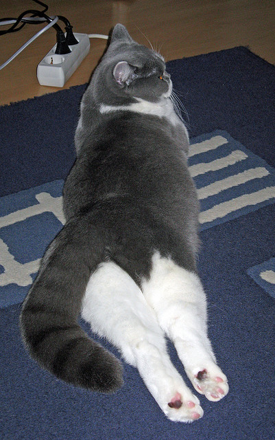 后防线防守成功率提升整体协作默契度大幅增强展现体系优势,后防球员