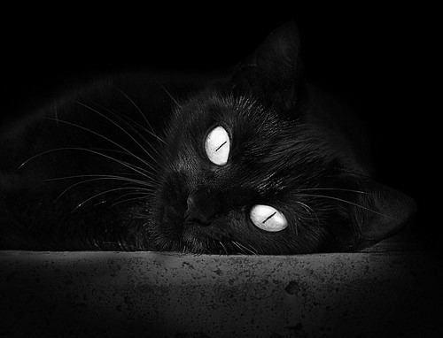 爱游戏在线娱乐官网-张伟丽表示将用行动回应外界期待，张伟丽最新消息回国了吗