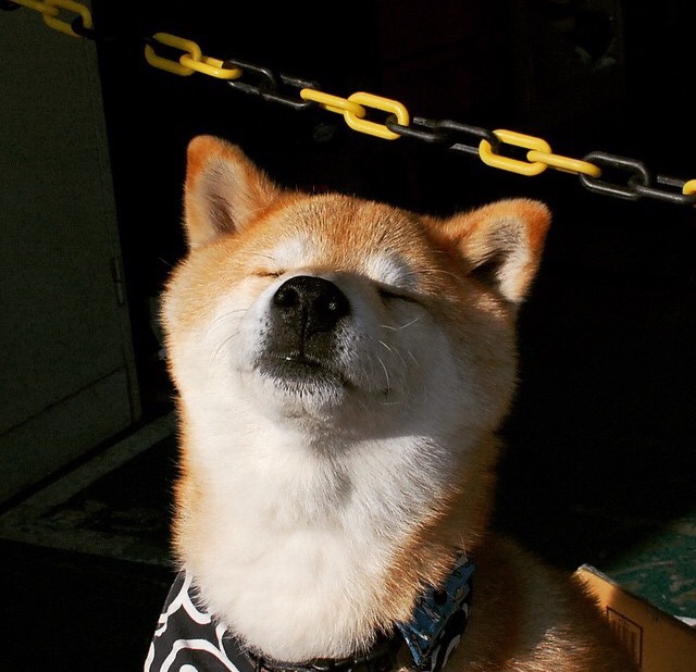 恩比德连续封盖震慑篮下七六人防守提升明显,恩比德打了几年篮球