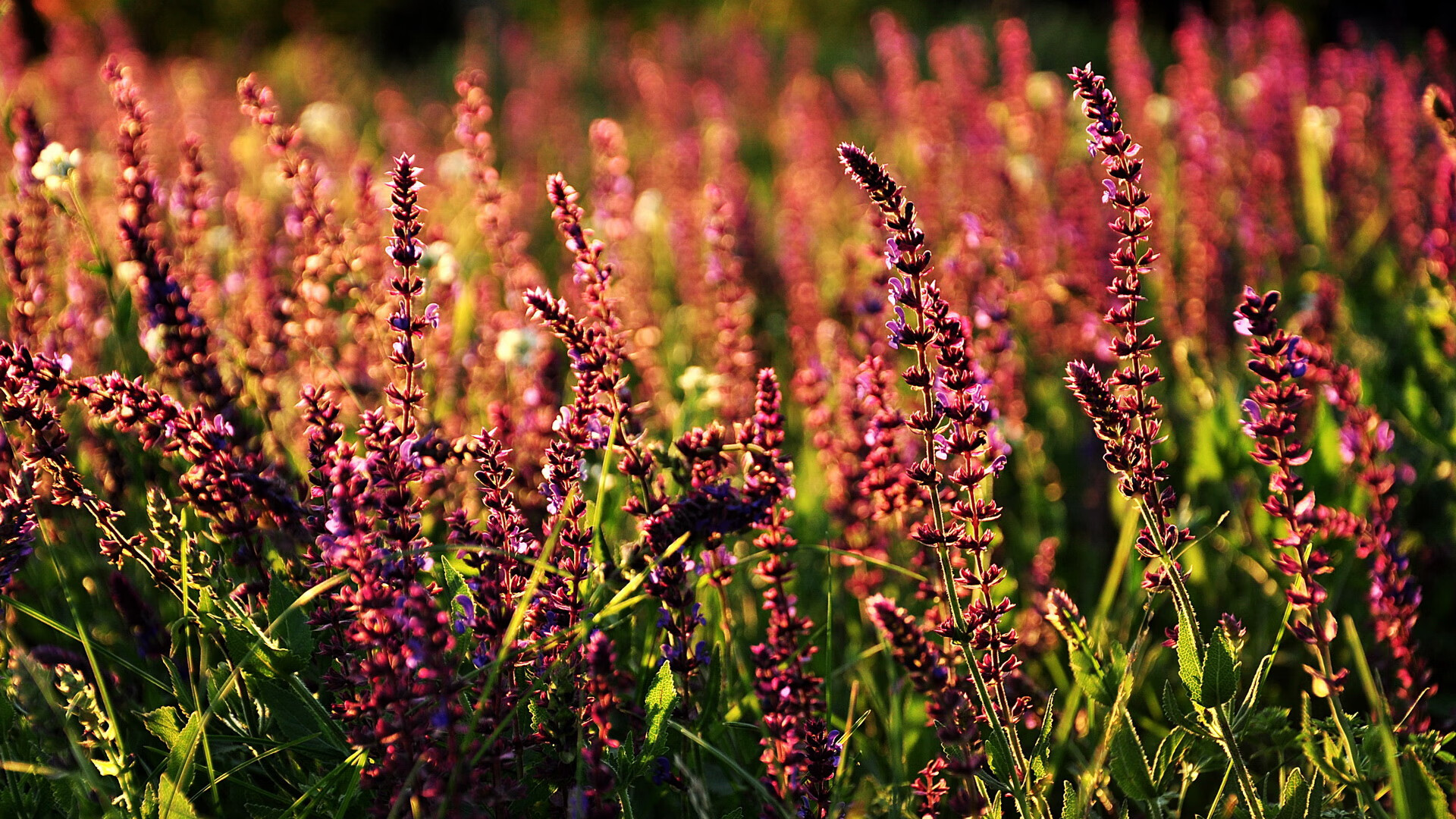 爱游戏中国官方网站平台-意甲技战术大比拼：精彩场面不停歇，意甲技术统计