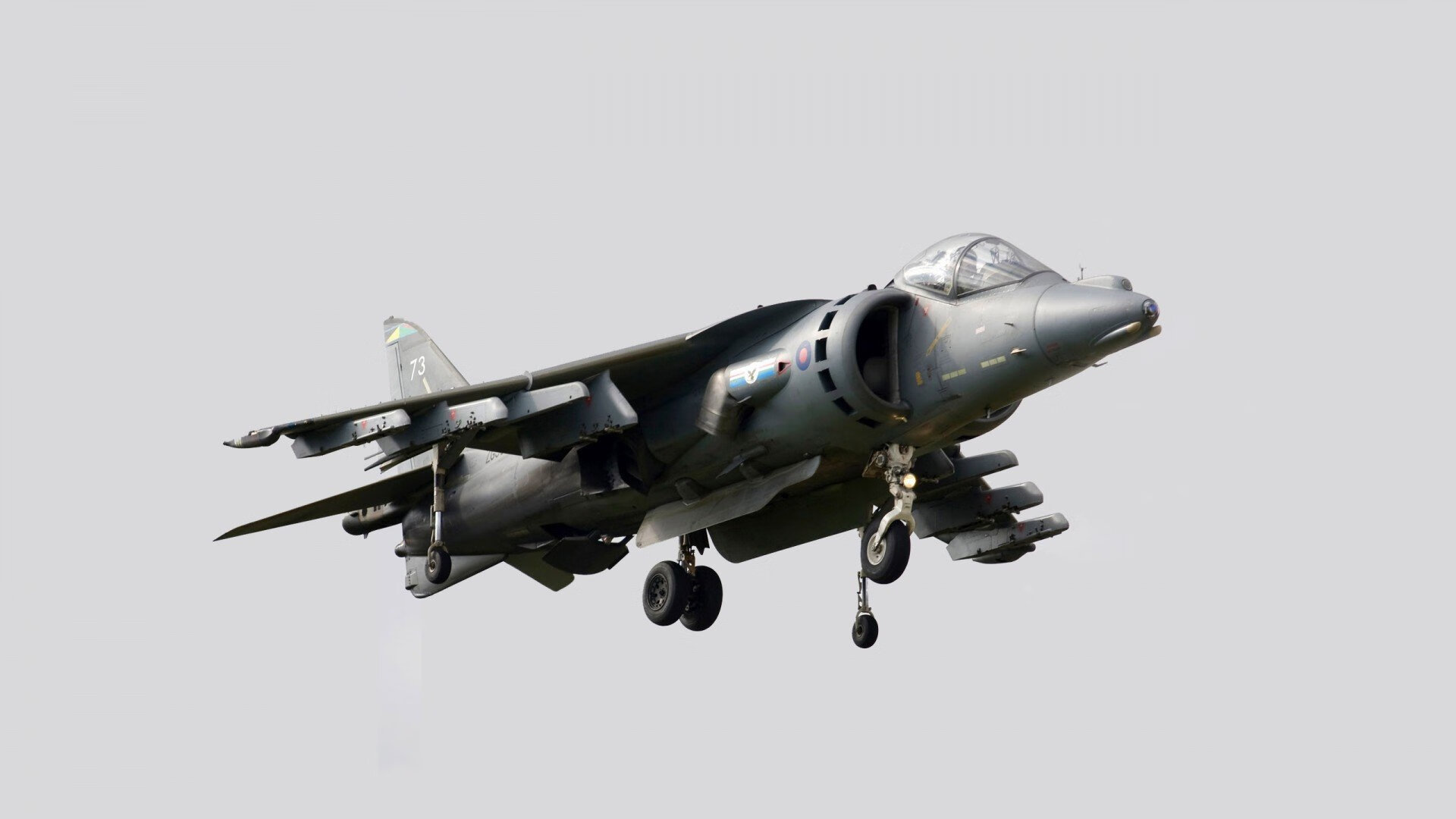 爱游戏登录入口-新西兰橄榄球面临国际化竞争，如何保持领先？，新西兰橄榄球面临国际化竞争,如何保持领先状态