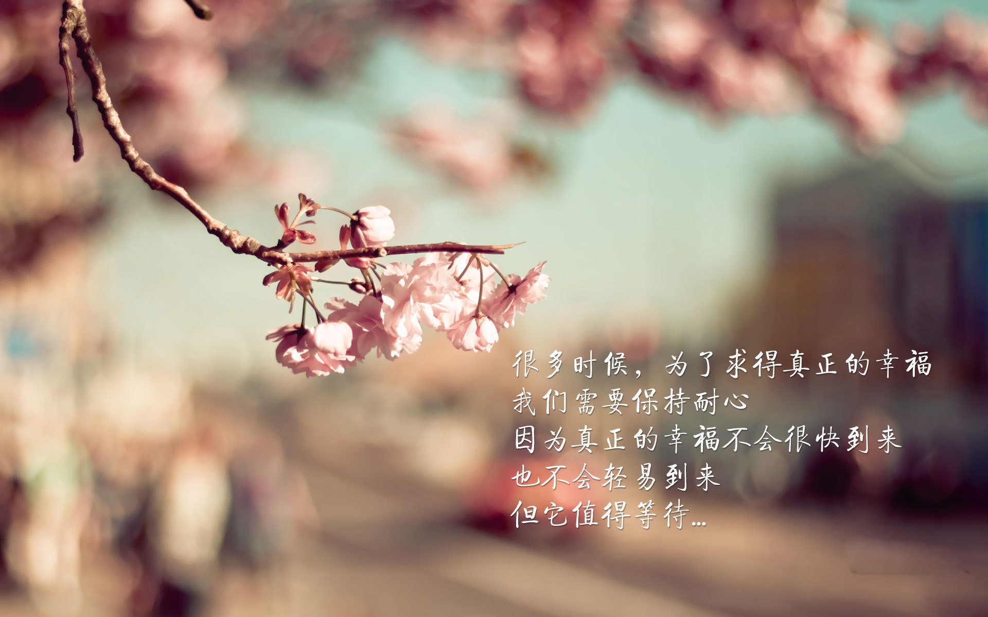 法甲新星崭露头角：天天向上，未来可期！，天天向上足球解说