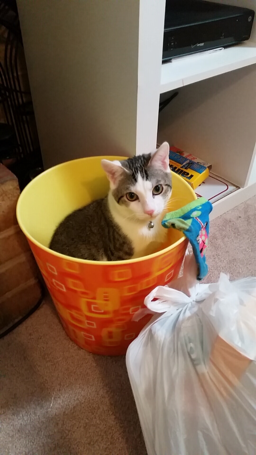 法甲联赛的创意营销案例，法甲赞助商