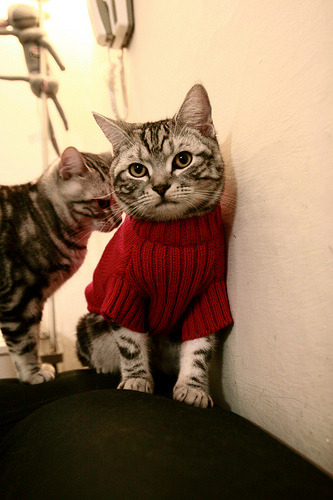 AYXSPORTSAPP-科特迪瓦男篮在非洲锦标赛中持续升温，体育崛起光彩照人，非洲科特迪瓦现在是什么时间