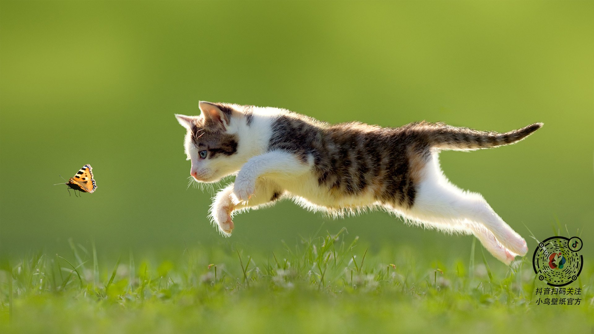 足球城市马拉松结合，体育氛围浓厚，城市马拉松意义何在