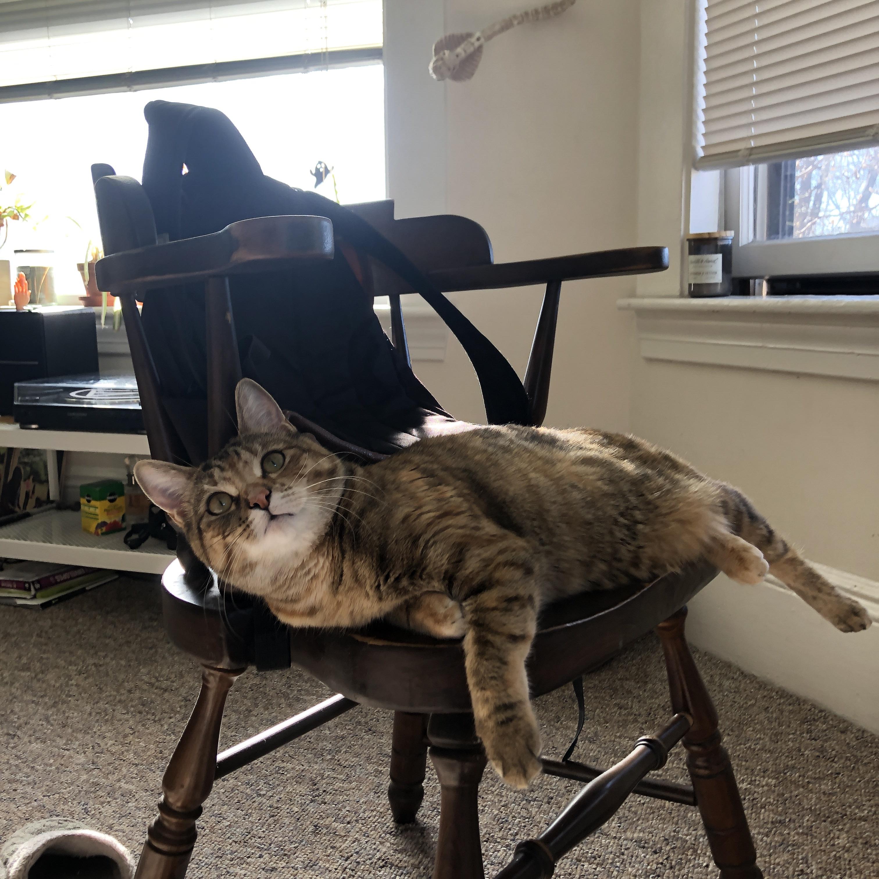 爱游戏娱乐网址-麦克沃伊：经验让我更冷静冲刺，麦克沃伊学霸